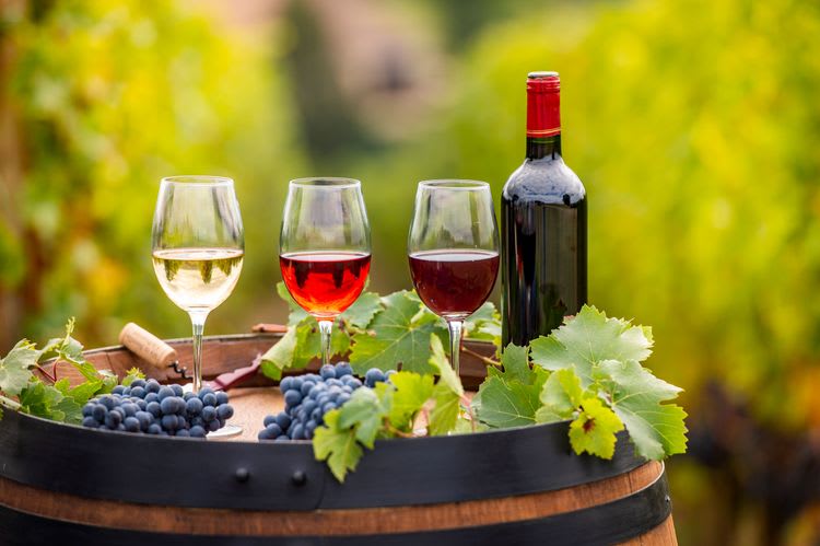 Beaujolais Wine Tasting