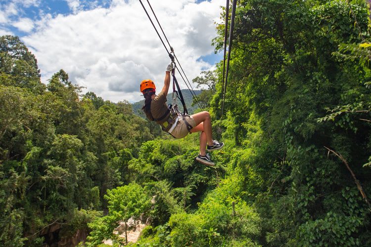 Rainforest Canopy Adventure