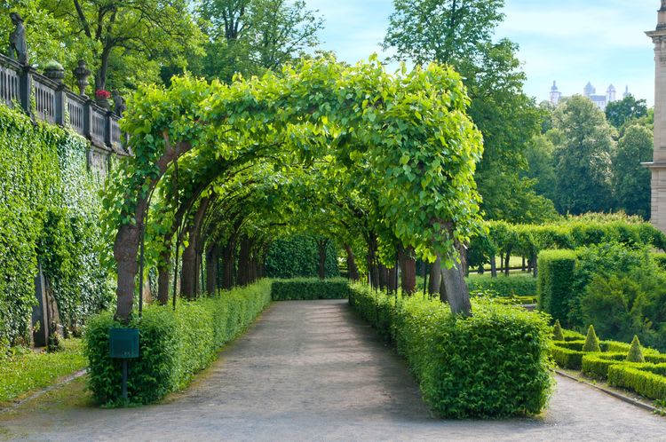 Sightseeing Tour of the Pearl of the Romantic Road