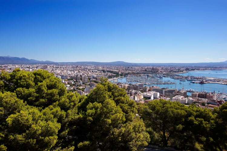Savor Panoramic Palma: Tour + Lunch