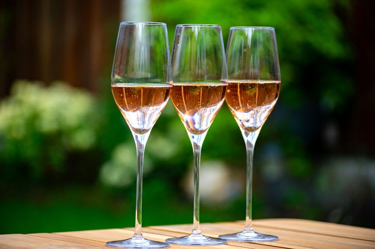 Stellenbosch and Wine Tasting