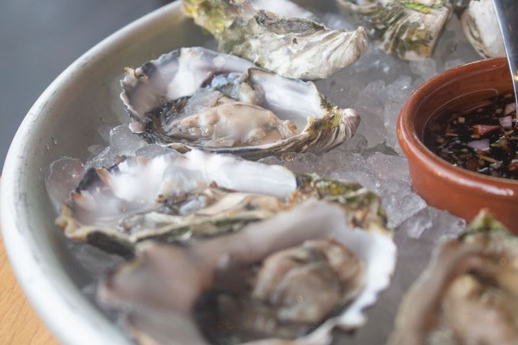 Cruise, Oysters & Eden