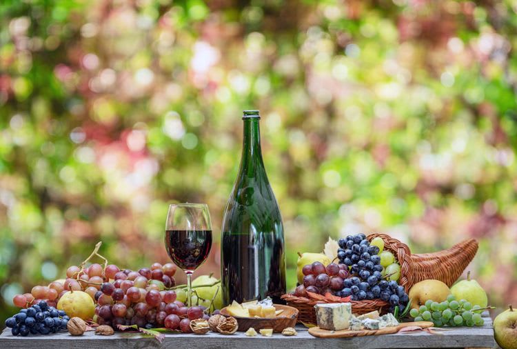 Croatian Vines & Wines