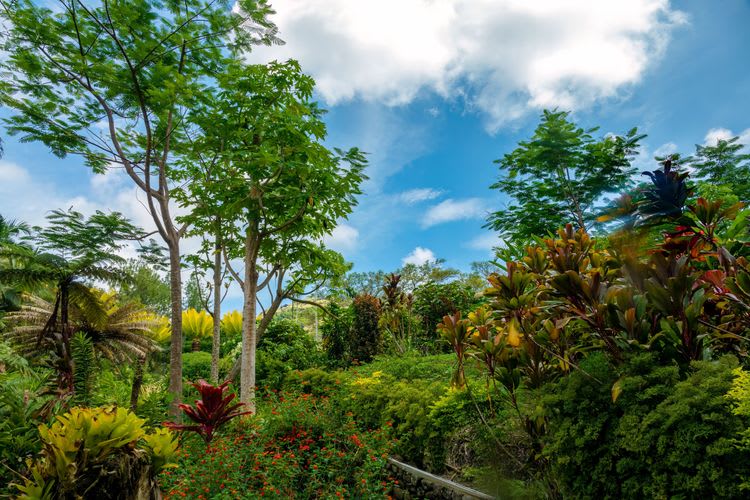 Garden of the Sleeping Giant