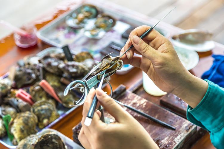 Discover the World of Pearls