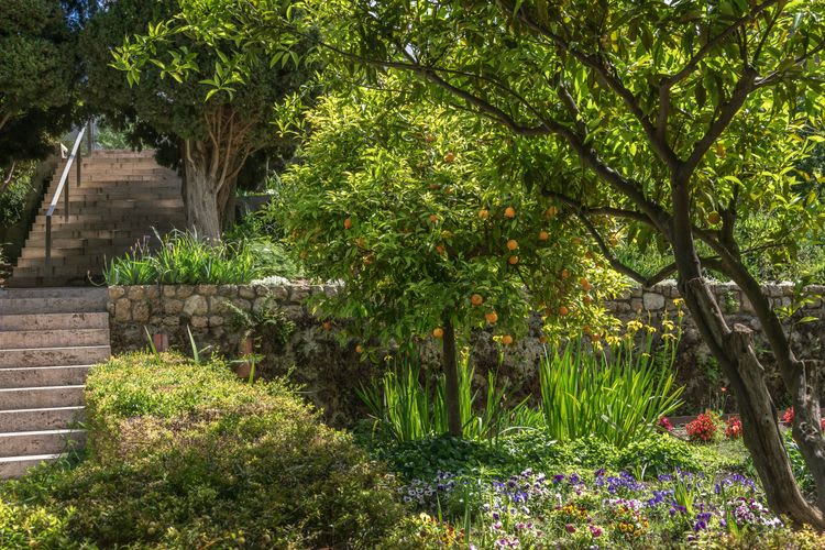 Nazari Gardens & Winery Visit