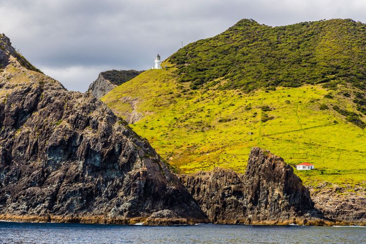 Cruise to Cape Brett - Hole in the Rock