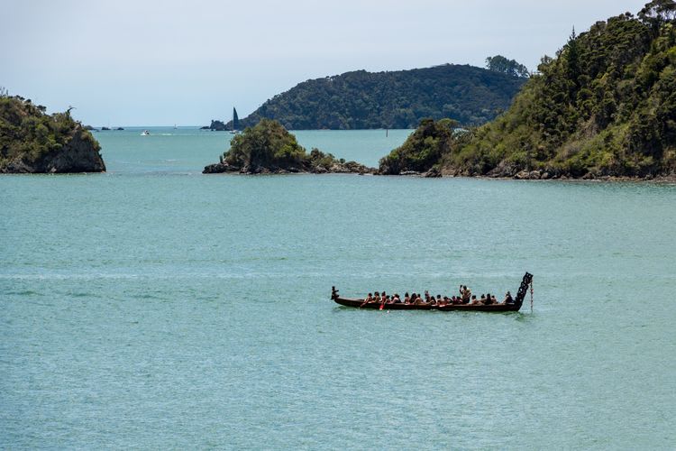 Kayaking On Waitangi Estuary