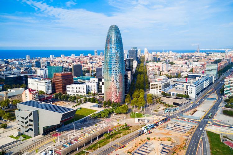 Barcelona Panorama & Paella Cooking Experience