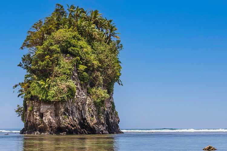Essence Of Tutuila