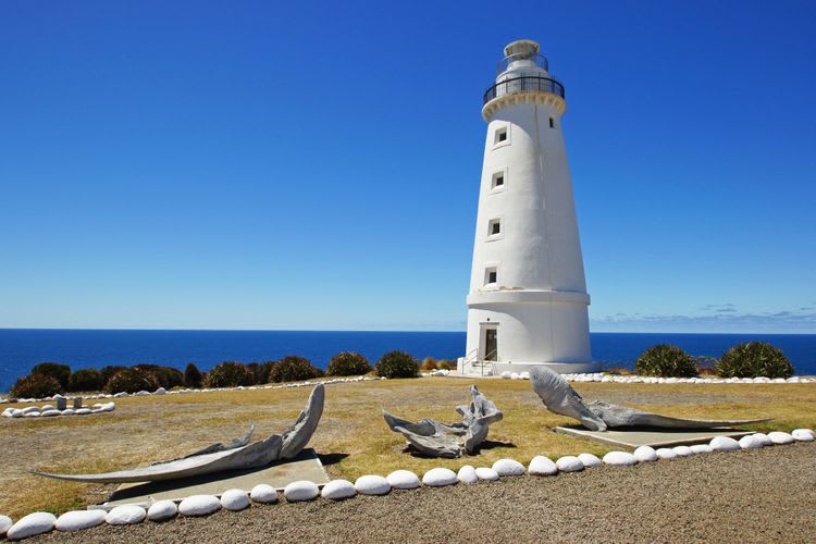 Cape Willoughby, Wines & Views