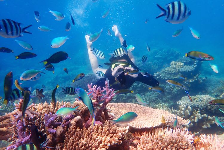 Captain Zodiac Rafting & Snorkeling Adventure