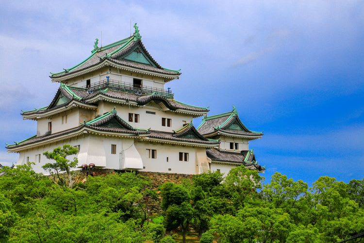 Wakayama Castle & Kada