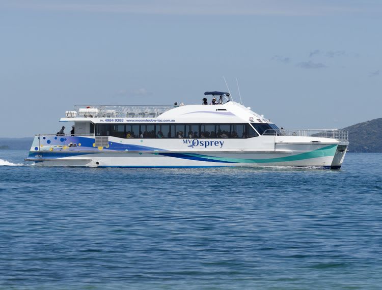 Port Stephens Dolphin Watching Cruise
