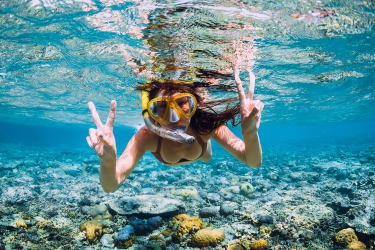 Safari de Snorkel