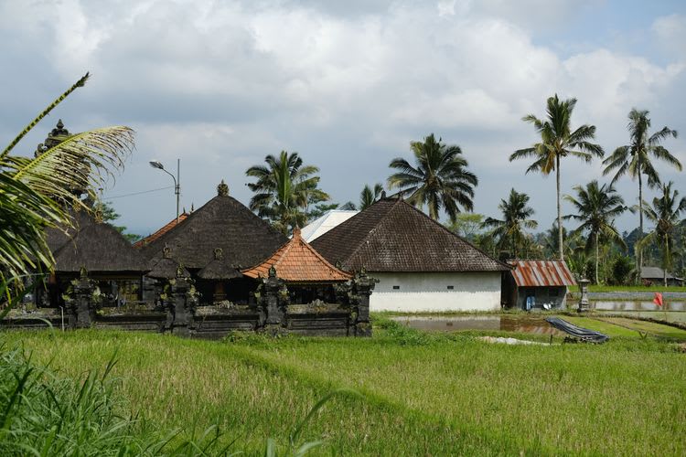 Balinese Countryside and local Lifestyle