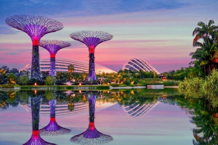 Gardens by The Bay & Observation Deck at Marina Bay Sands