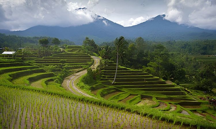 Soul of Bali by Land Rover