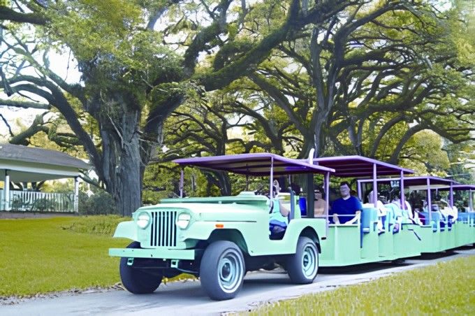 Debark Tour: Everglades Airboat Ride & Flamingo Gardens With Miami Airport Transfer