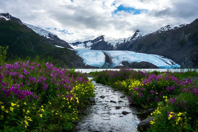Tour en crucero por el glaciar de Portage