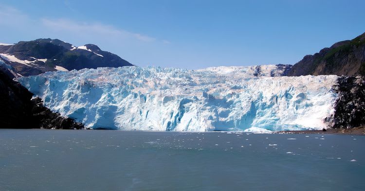 Kenai Fjords National Park Cruise