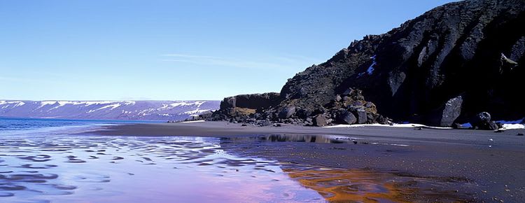 Action and Icelandic Lobsters