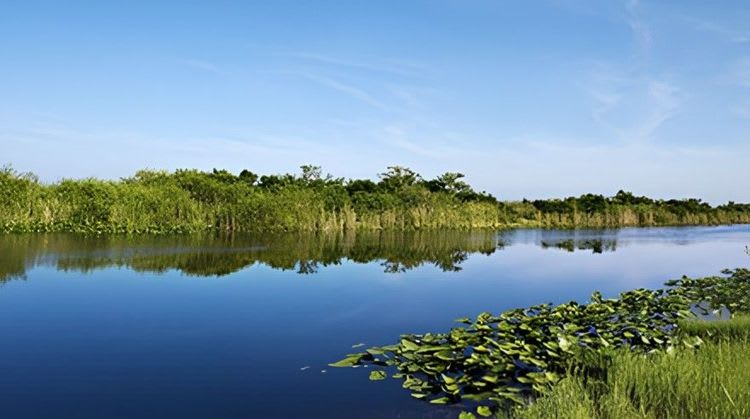 Tour de los Everglades: Para los huéspedes en tránsito