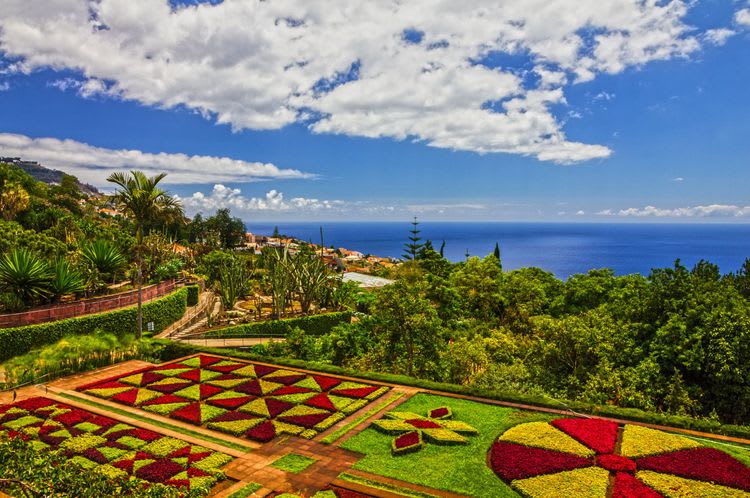 Botanical Gardens & Monte Cable Car