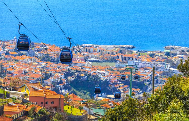Cable Car, Traditional Sled Ride & Wine Tasting