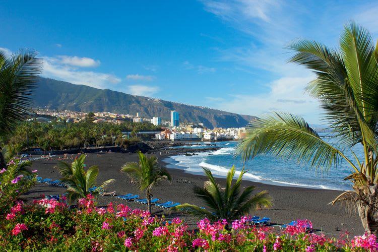 Puerto De La Cruz On Your Own
