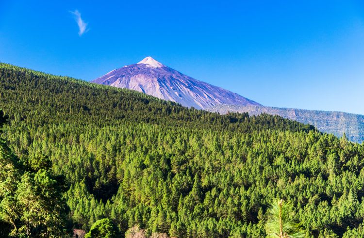 Puerto De La Cruz & Orotava Valley
