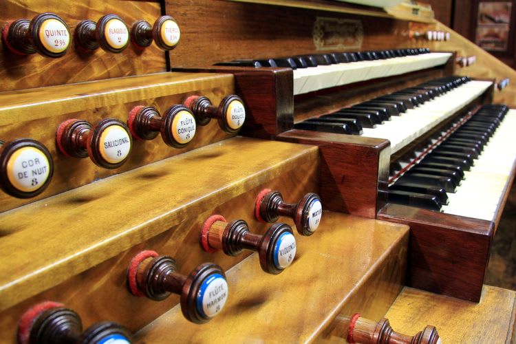 Regensburg Walking Tour & Organ Concert
