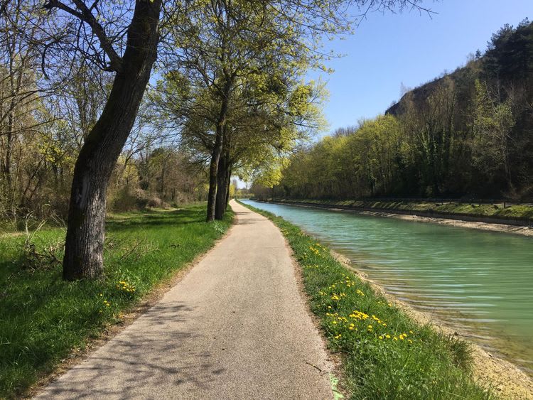 Dijon Bike Tour
