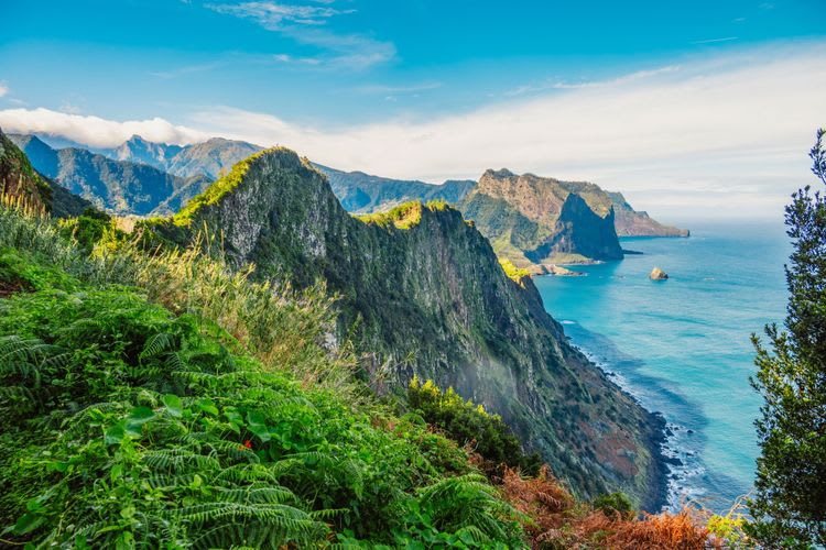 See The World Atop Peaks & Palaces
