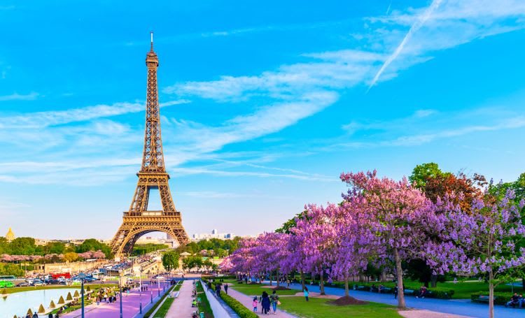 Guided Sightseeing Tour of Paris