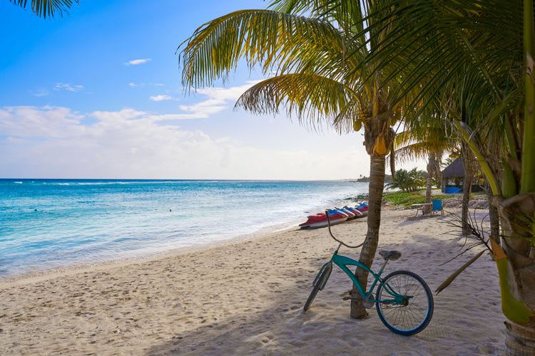 Scenic Bike Ride & Clear-Bottom Kayak