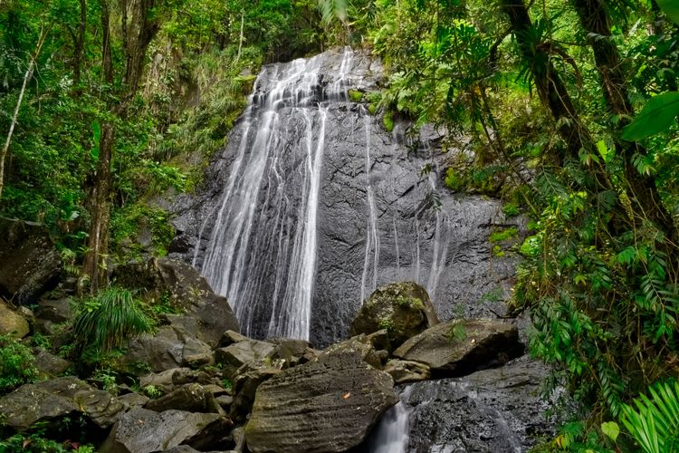El Yunque National Rainforest Scenic Drive