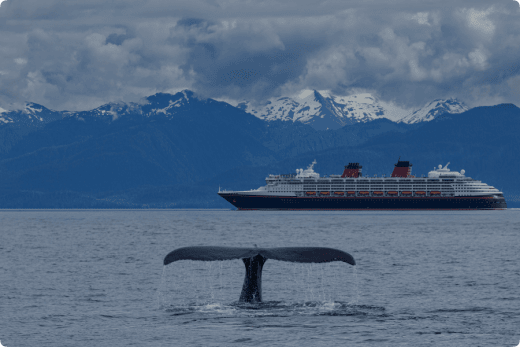 Best Alaska cruise itinerary—which option is right for you?