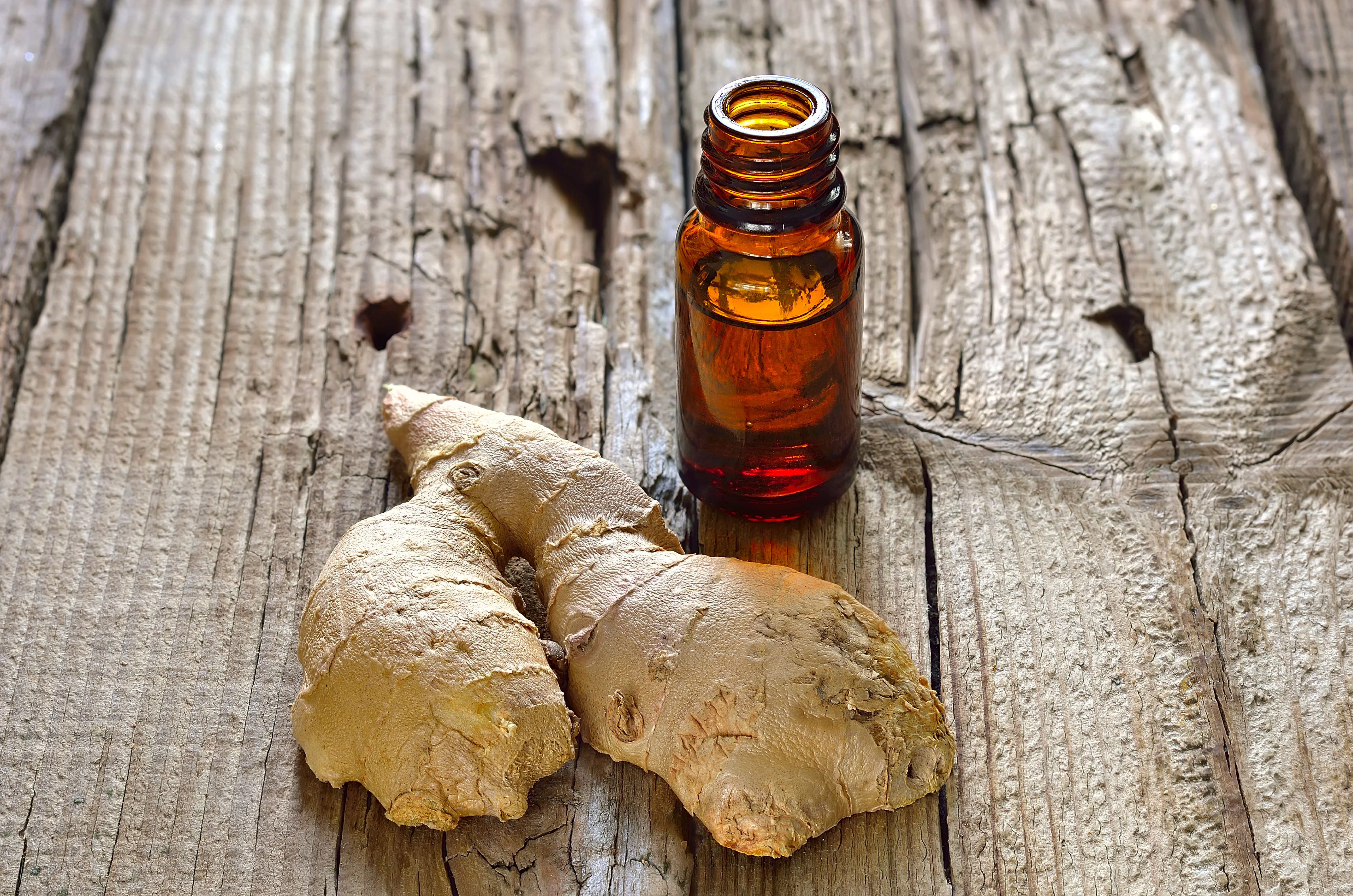 Fresh ginger root with essential oil bottle on rustic wooden background, a natural remedy for cruise motion sickness.