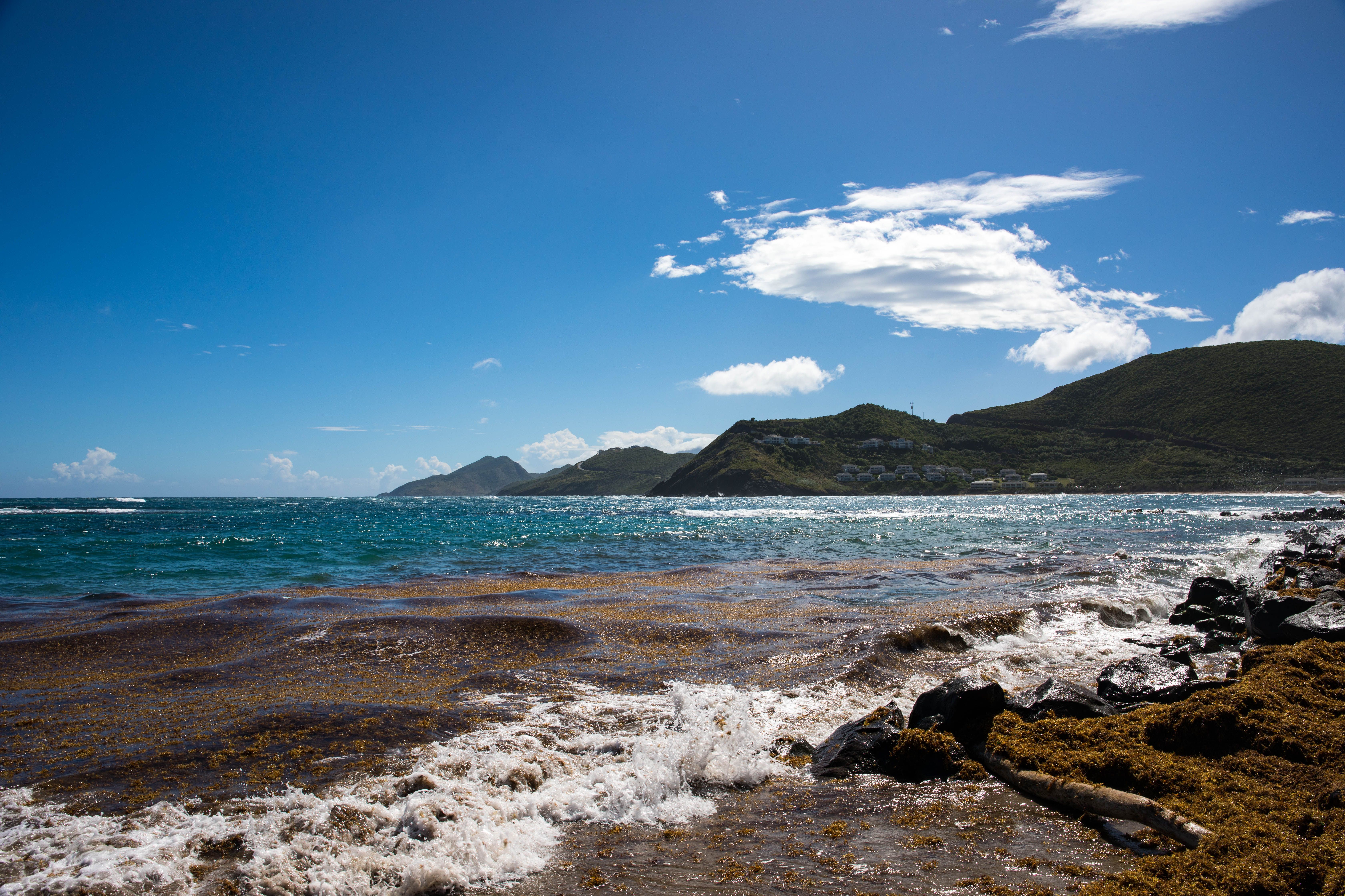 Rocky shoreline with waves crashing, brown seaweed, and lush green hills under a clear blue sky.