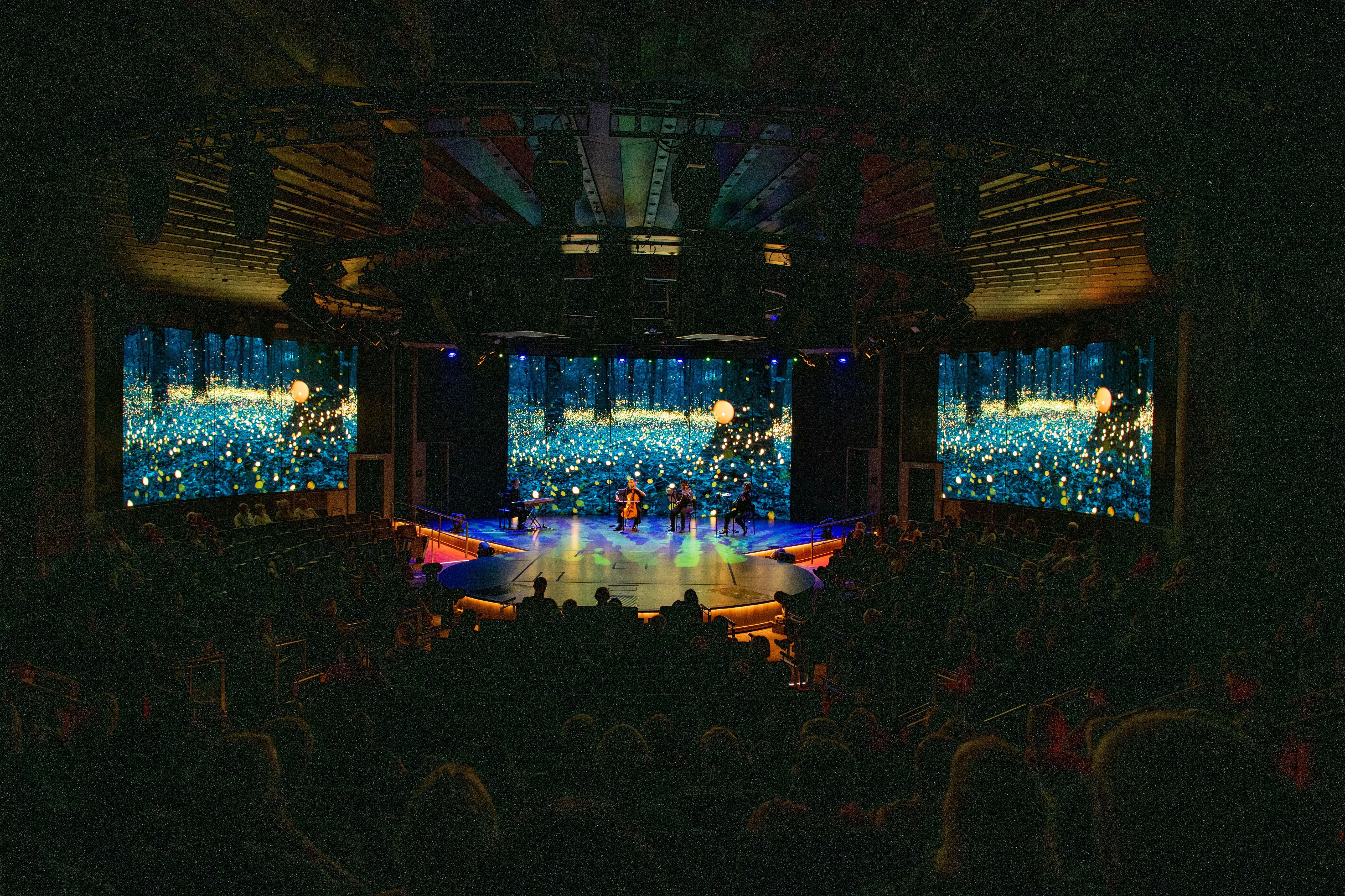 Cruise ship theater with a large audience, watching an immersive, visually stunning performance.