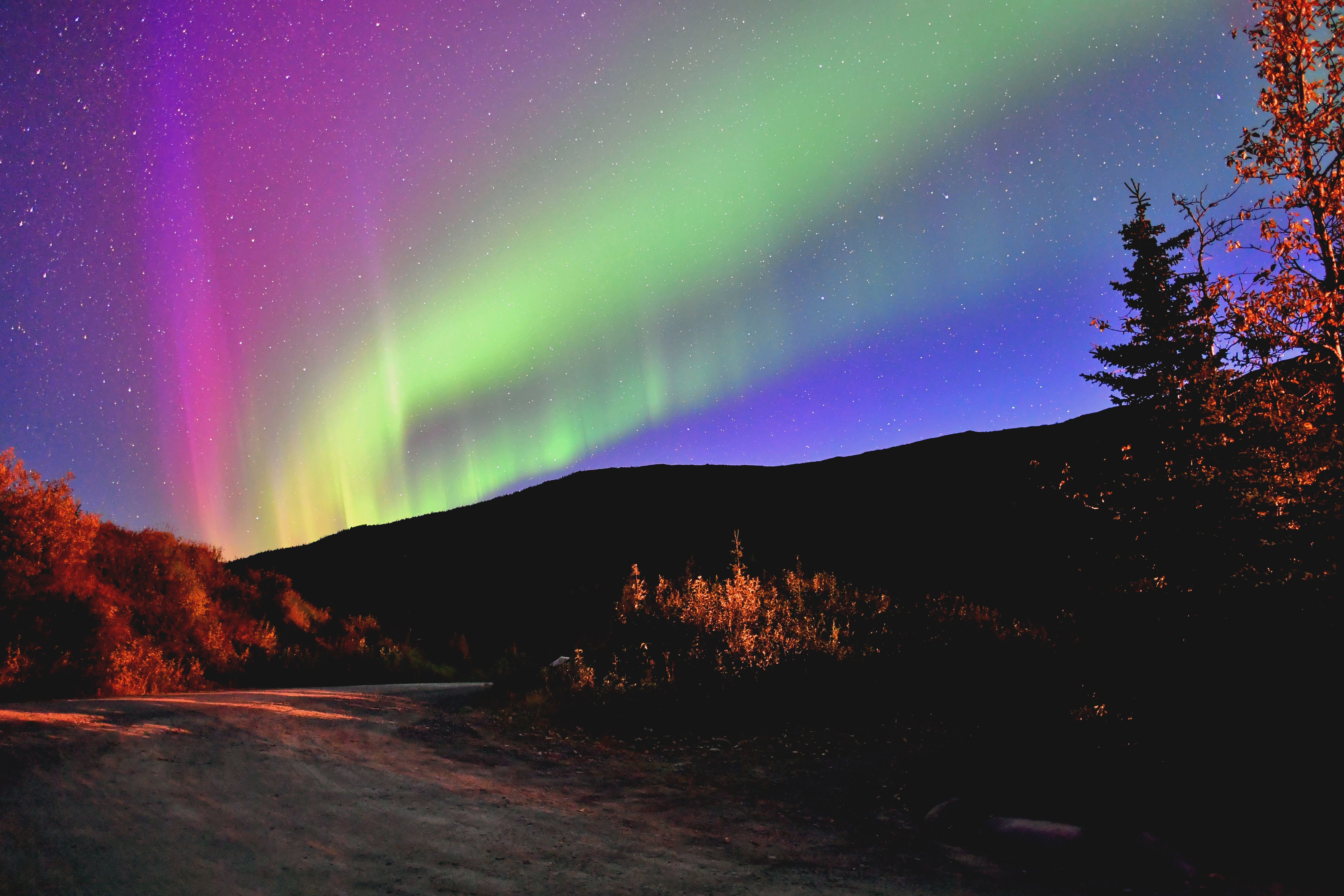 Vivid northern lights over a hilly region with autumn foliage in Alaska.