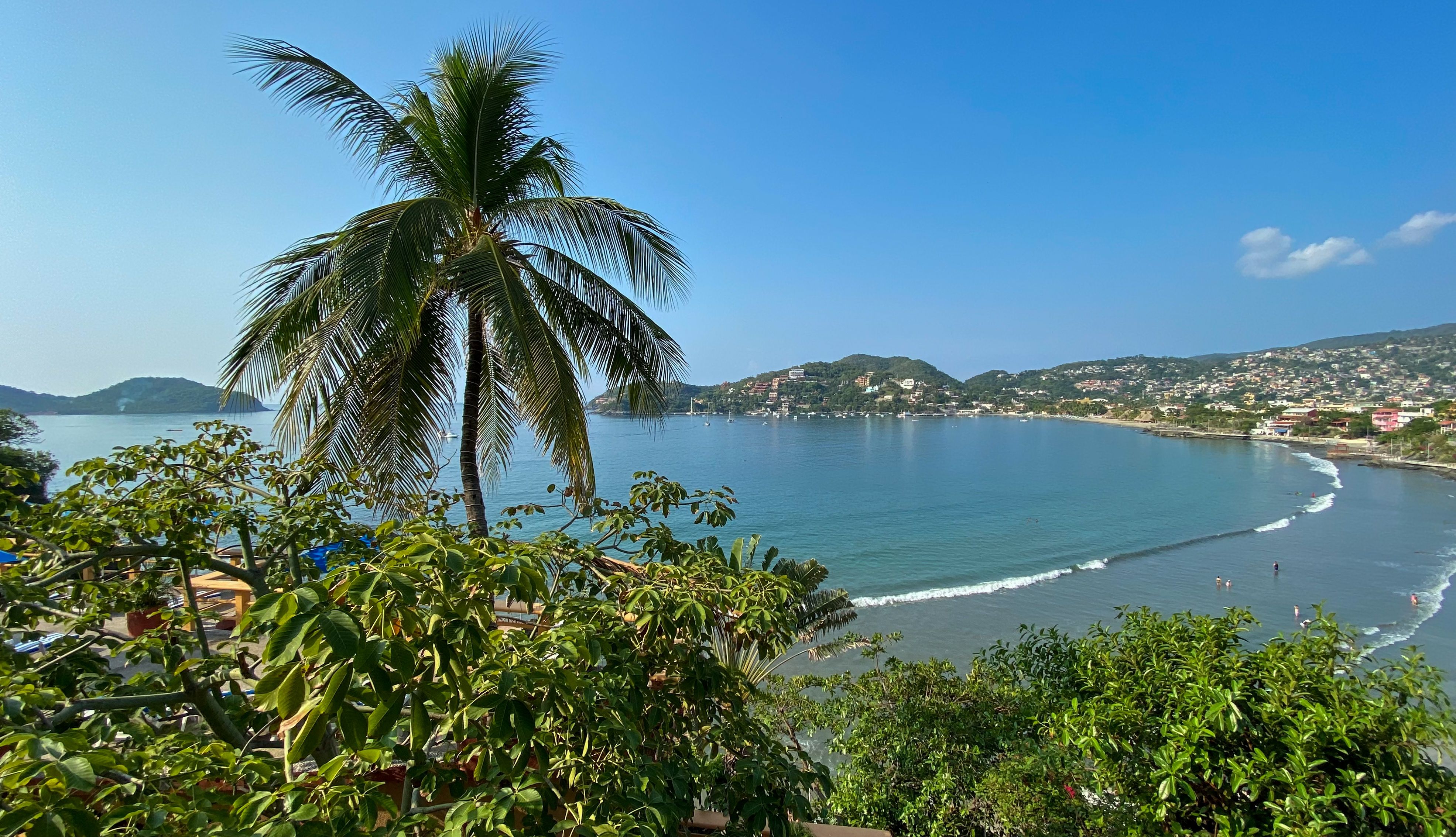 Aerial view of Zihuatanejo bay with lush greenery, calm waters, and a lone palm tree in the foreground.