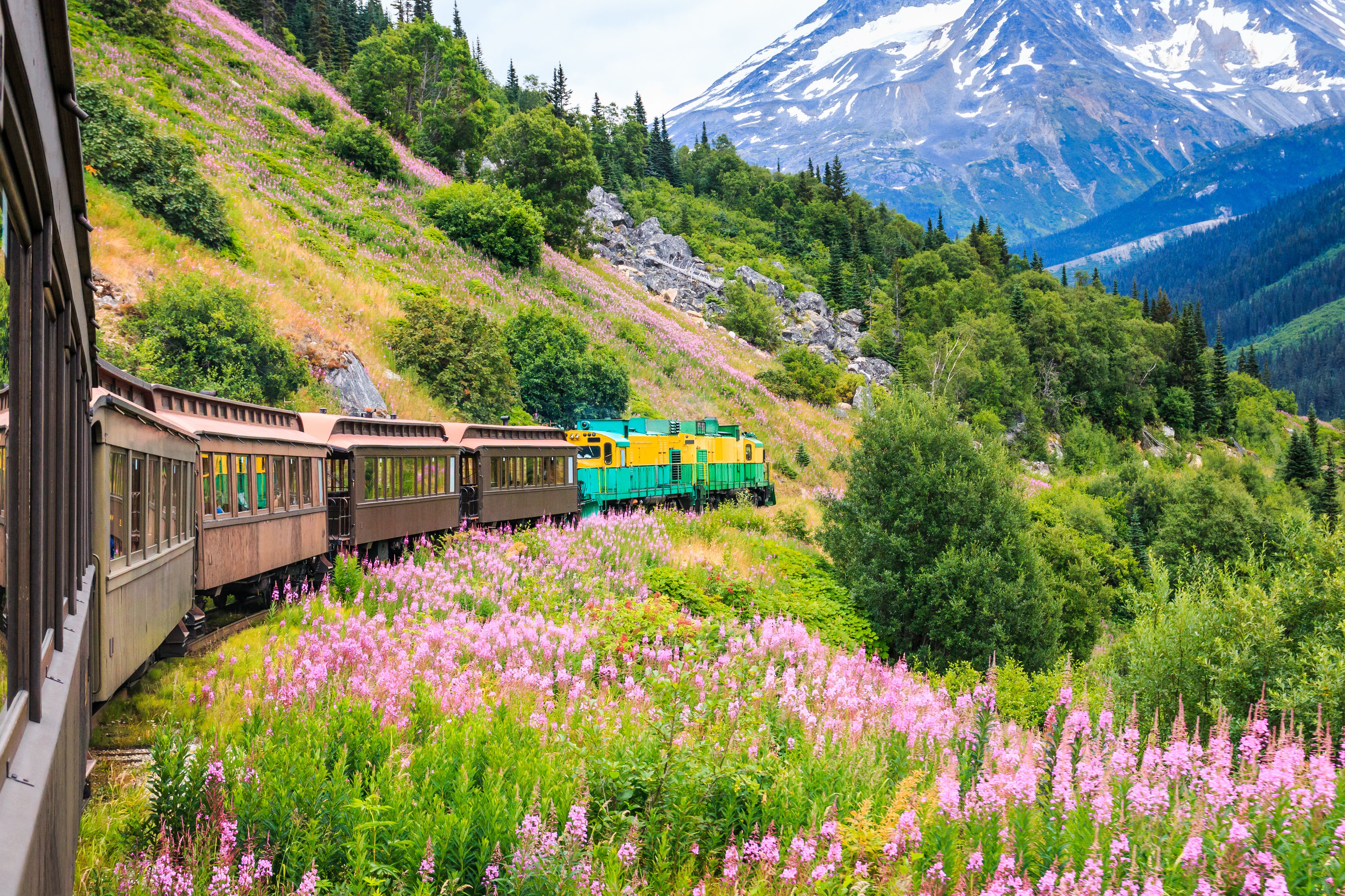 White Pass Railway train traveling through lush mountains and wildflowers in Alaska, an excursion on Alaskan cruises.