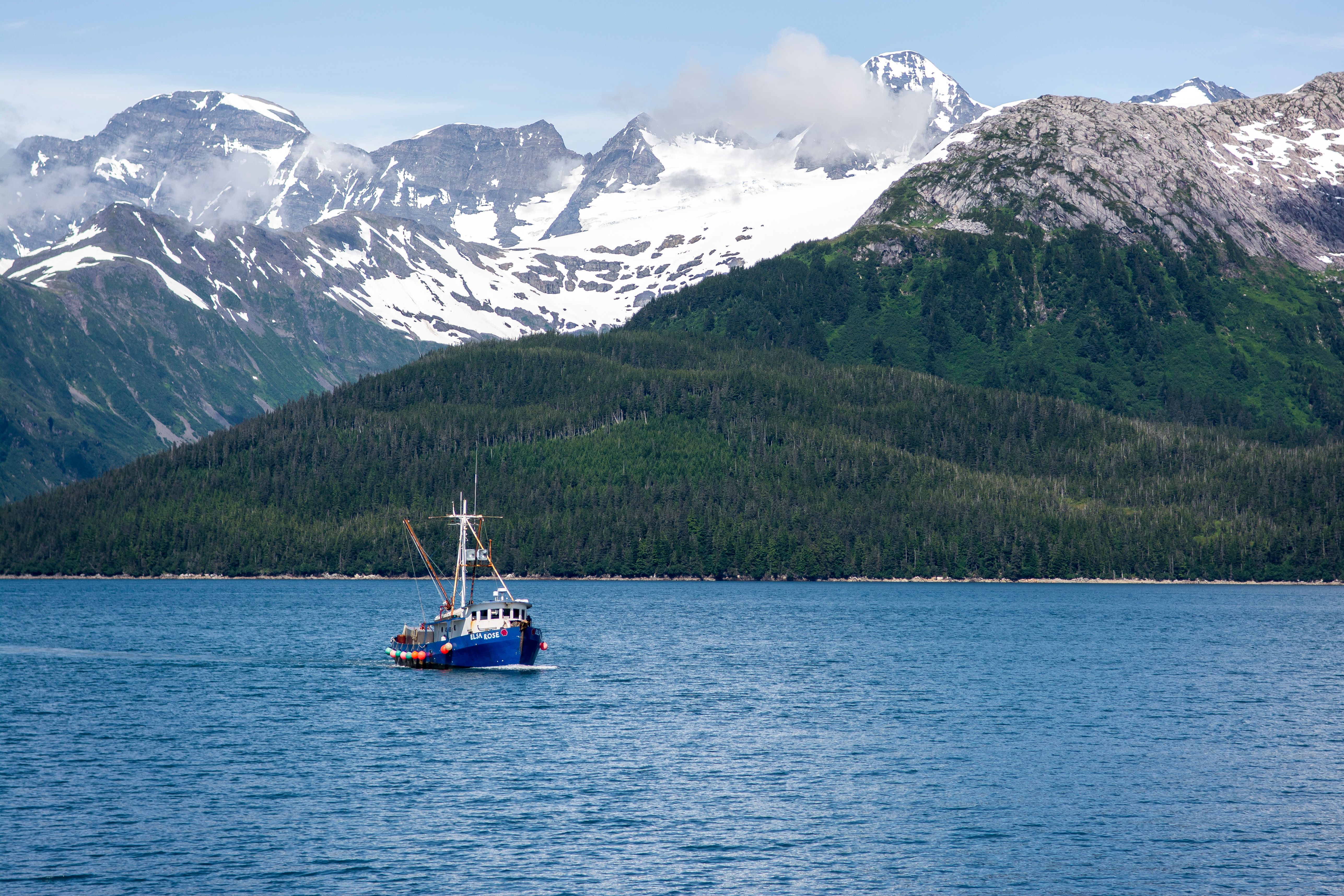 A small fishing boat floats on the calm waters, surrounded by lush forests and snow-capped mountains in Alaska.