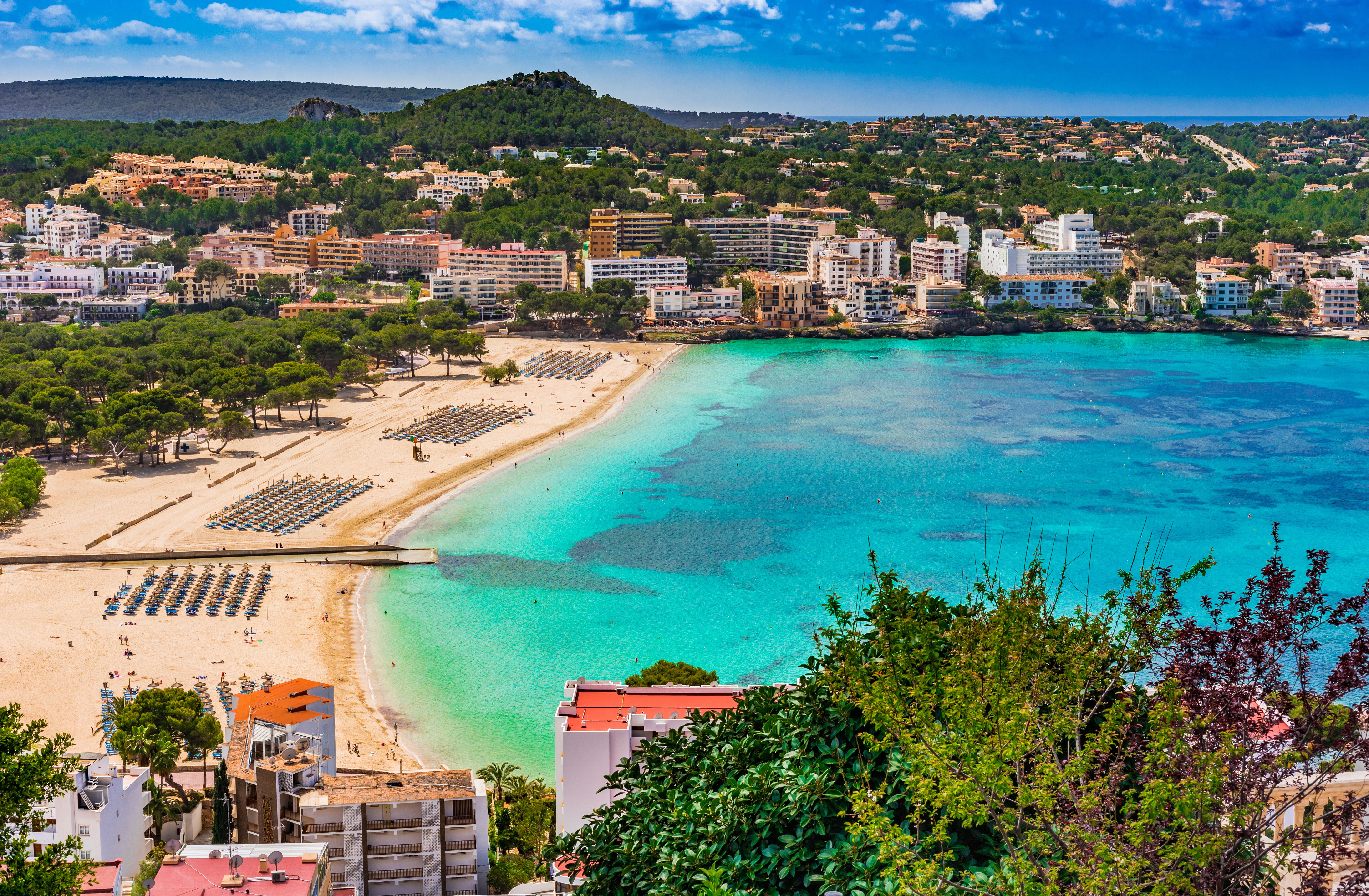 Aerial view of Playa de Santa Ponsa with sandy beach, clear turquoise waters, and surrounding hotels and greenery in Mallorca, Spain.