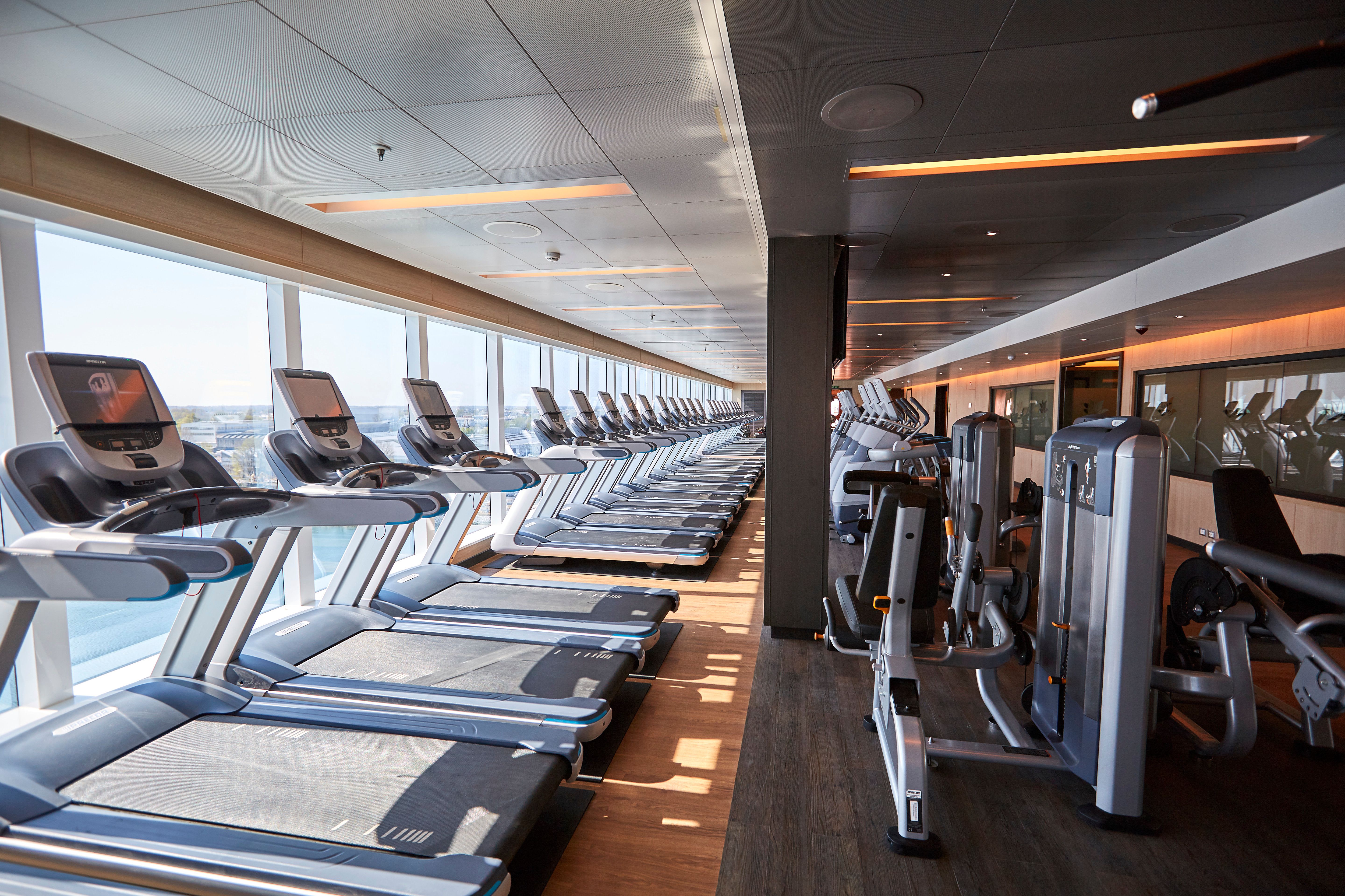 Modern fitness center on Majestic Princess cruise ship, featuring rows of treadmills and weight machines with ocean views. A well-equipped gym for passengers by Princess Cruises.