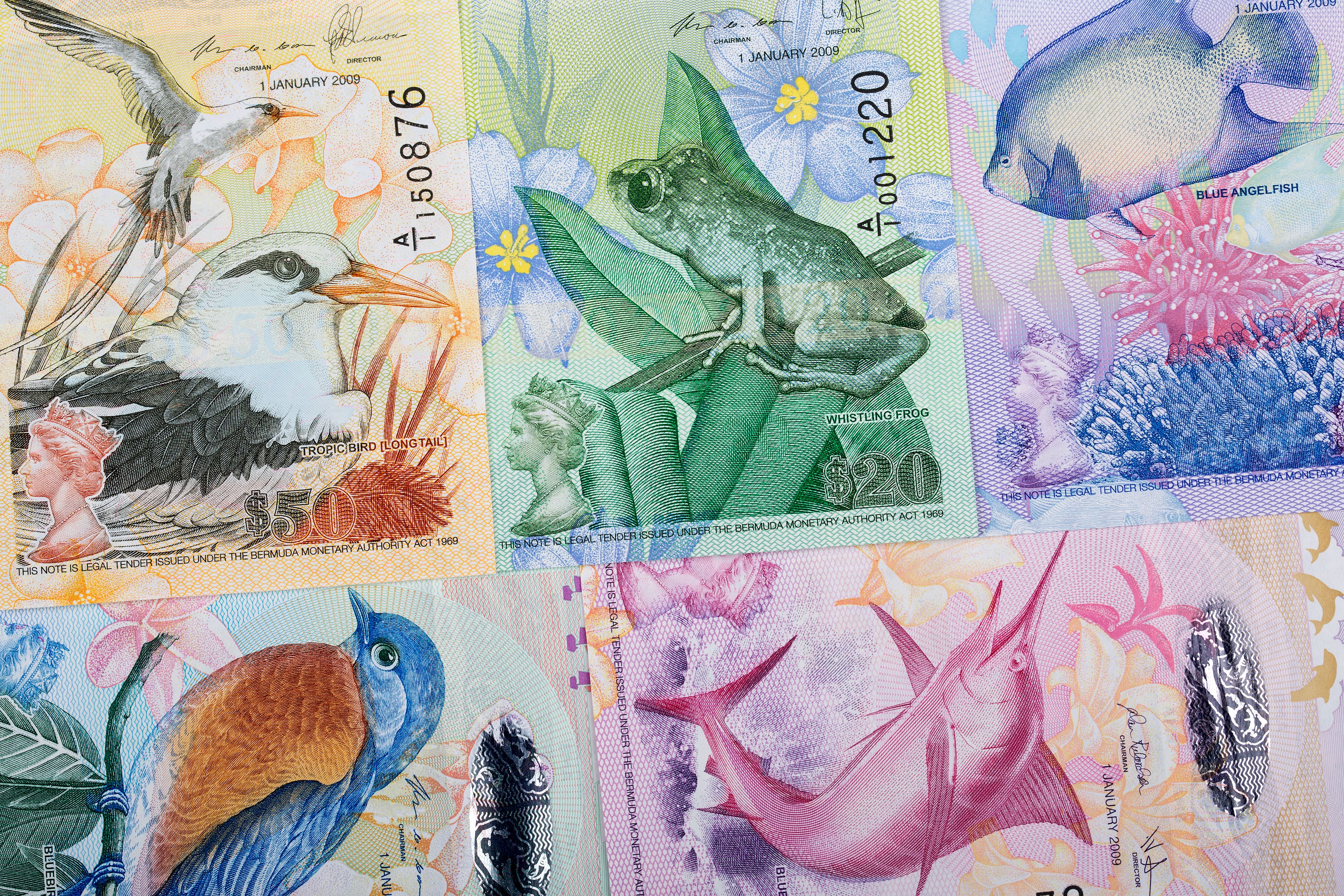 Colorful Bermudian banknotes featuring native wildlife, including a whistling frog, blue angelfish, and tropic bird, highlighting the island’s unique currency and vibrant ecosystem.