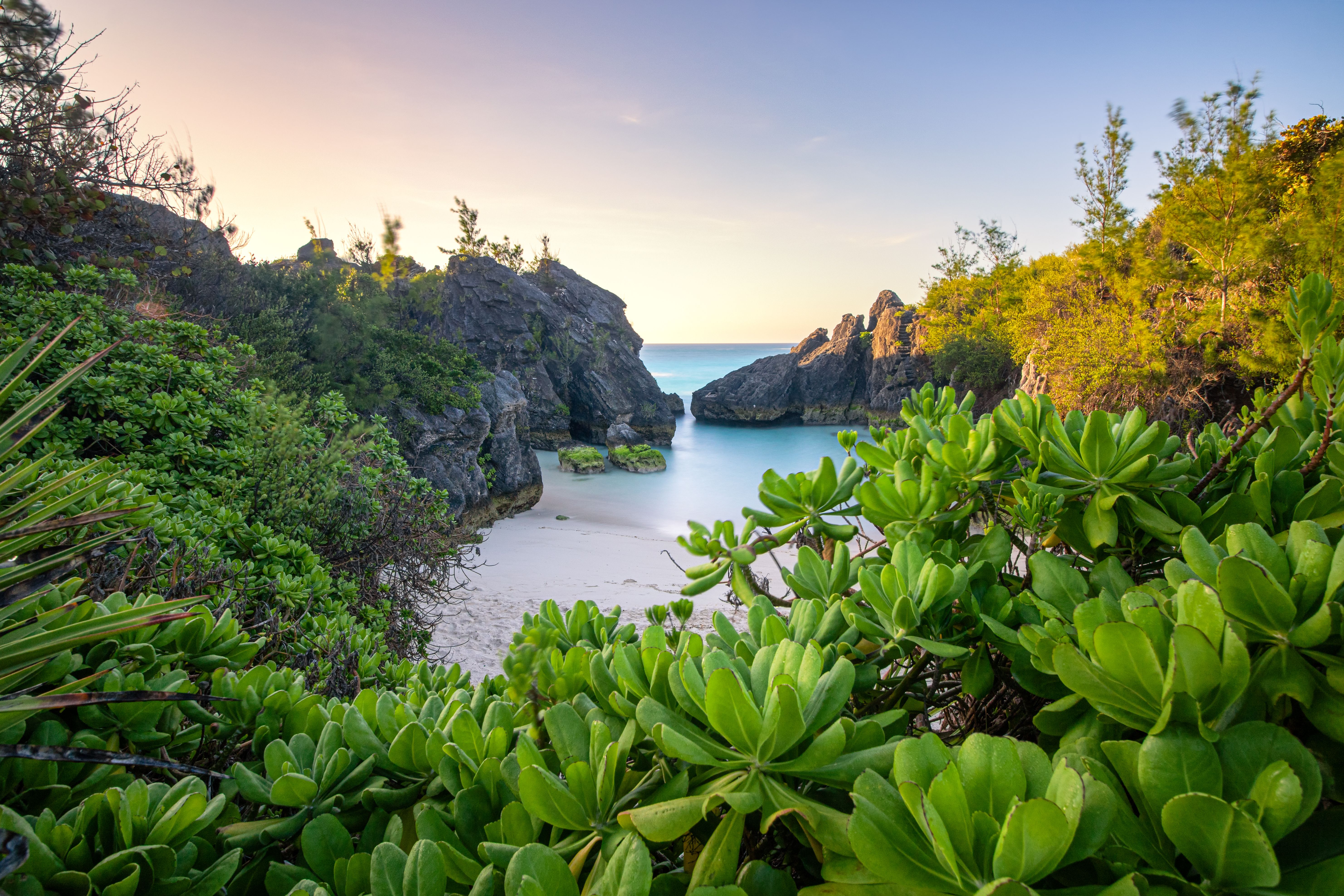 A secluded view of Jobson’s Cove in Bermuda, framed by lush green foliage and dramatic limestone cliffs, with calm turquoise waters lapping at the pink sand beach.