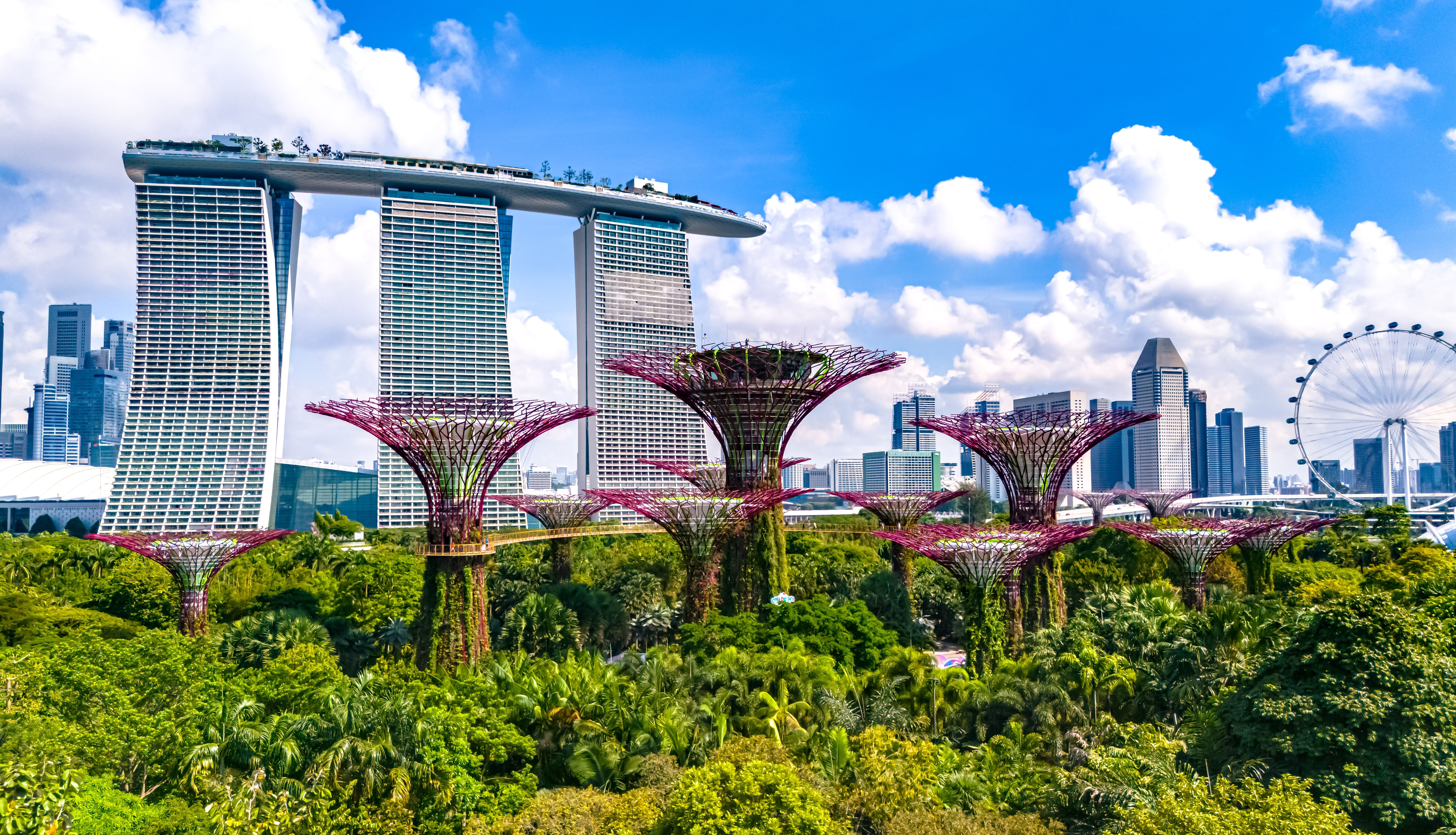 Gardens by the Bay in Singapore with Supertree Grove, Marina Bay Sands, and the Singapore Flyer in the background.